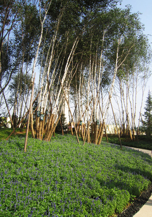 笛東 袁松亭 景觀設計 景觀規劃