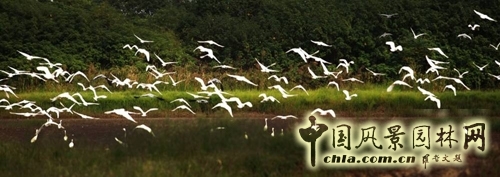 笛東 袁松亭 景觀設計 景觀規劃