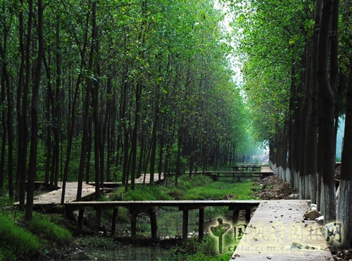 笛東 袁松亭 景觀設計 景觀規劃