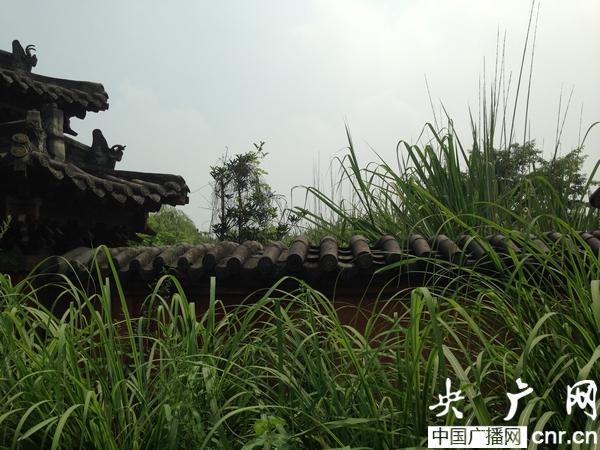 成都 十陵風景區 生態公園 拆遷 未建成