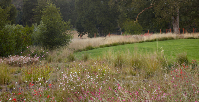 ASLA住宅景觀設(shè)計(jì)類榮譽(yù)獎(jiǎng):伍德賽德住宅區(qū)