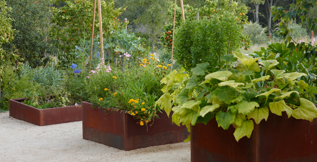 ASLA住宅景觀設(shè)計(jì)類榮譽(yù)獎(jiǎng):伍德賽德住宅區(qū)