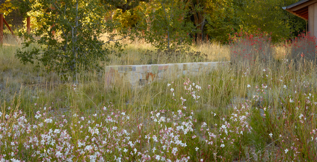 ASLA住宅景觀設計類榮譽獎:伍德賽德住宅區