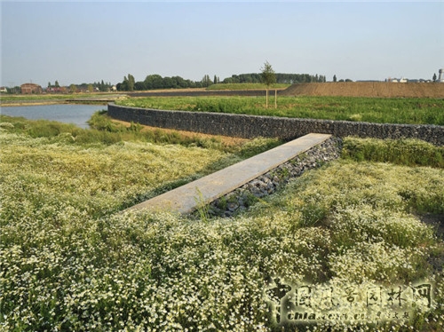 島嶼生態(tài)公園