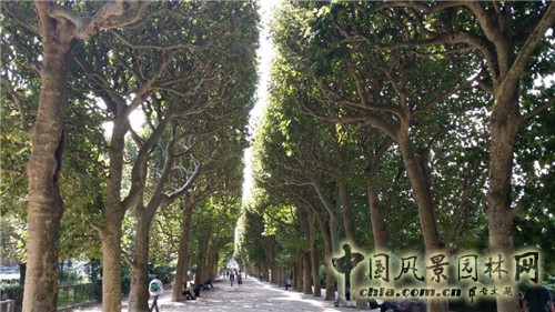巴黎植物園