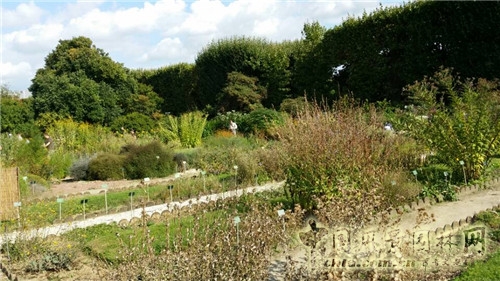 巴黎植物園