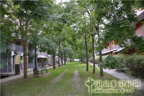 里爾林中社區(qū)