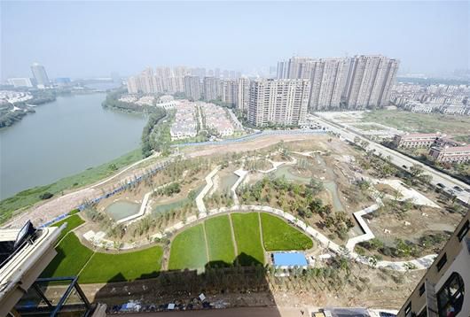 園博園北區入口附近有大片景觀稻田