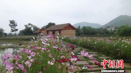 長(zhǎng)興太湖圖影生態(tài)濕地