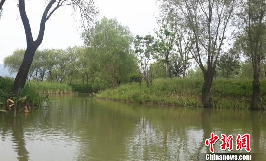 長興太湖圖影生態(tài)濕地