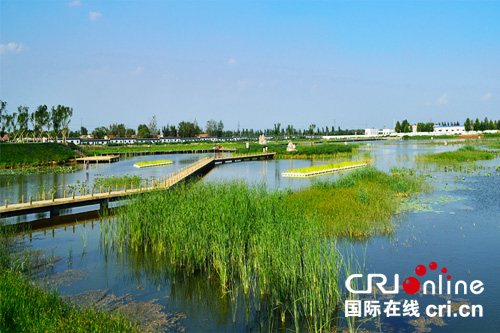 山東夏津九龍口濕地:打造“城市之腎”