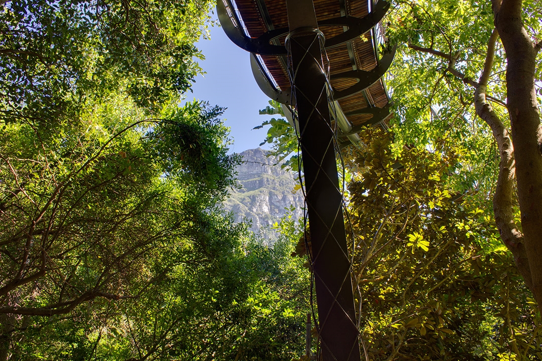 “樹冠走廊”引領人們來到樹冠高度,欣賞平時幾乎無法領略到的獨特的生態景象。在這里,人們可以從高處體驗森林、可以看到地面視野無法捕捉到的鳥類和其他動物、可以欣賞樹木隨風搖曳的動態景象、還可以看到樹冠相交的情景。橋梁沖破樹木,飛躍樹梢,帶來樹頂觀景的非凡感受,展現了開普敦城市和周圍雄偉山脈的360度全景景觀。