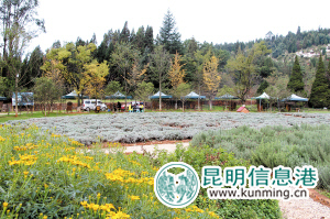 郊野公園將建瞭望塔觀景區 公園游覽面積將增3成