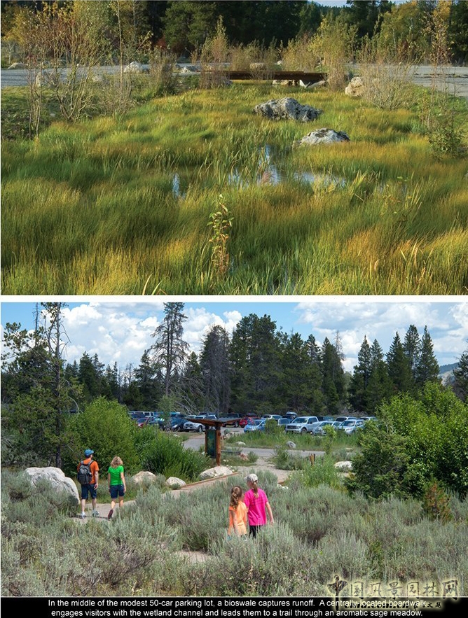 2014ASLA專業獎(3)：勞倫斯·S·洛克菲勒國家公園保護區