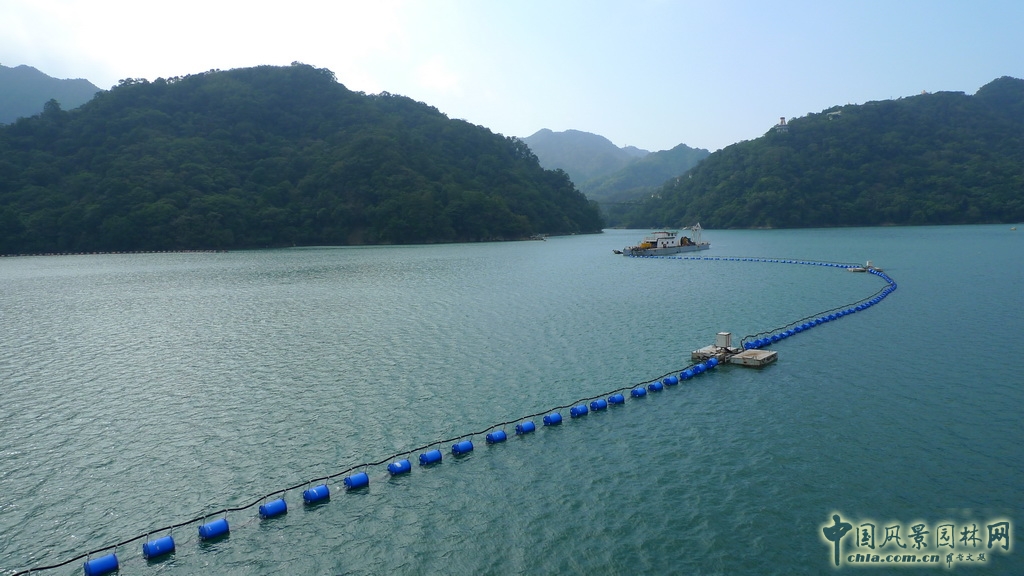 大溪花海農(nóng)場(chǎng)