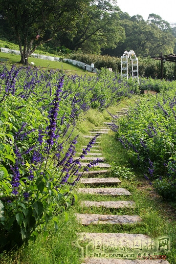 大溪花海農(nóng)場
