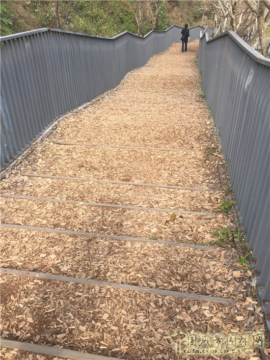 秋紅谷生態公園