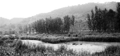 從承德看京津冀“生態(tài)一體化”之難