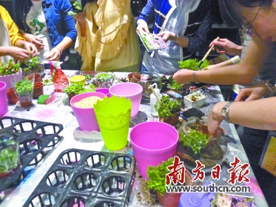 大家齊齊動手進行創作