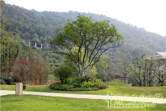 臘八寺配套設(shè)施景觀工程