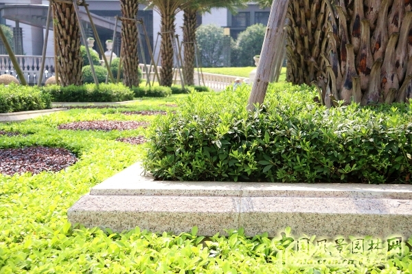 2015園冶杯住宅景觀獎(jiǎng)大獎(jiǎng)：福州﹒陽(yáng)光凡爾賽宮