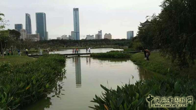 我們的驕傲，百公里讓我們看到深圳美麗的另立面