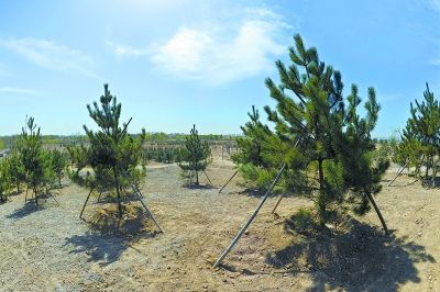 北京東北部最大濕地公園開建 面積1.65萬畝