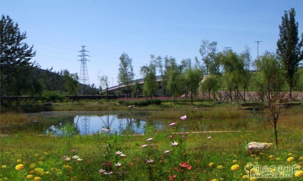 北京園林院張新宇董事長論海綿城市與風(fēng)景園林