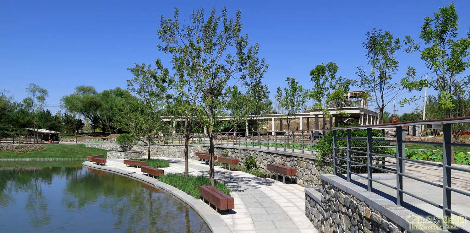 北京園林院張新宇董事長論海綿城市與風景園林