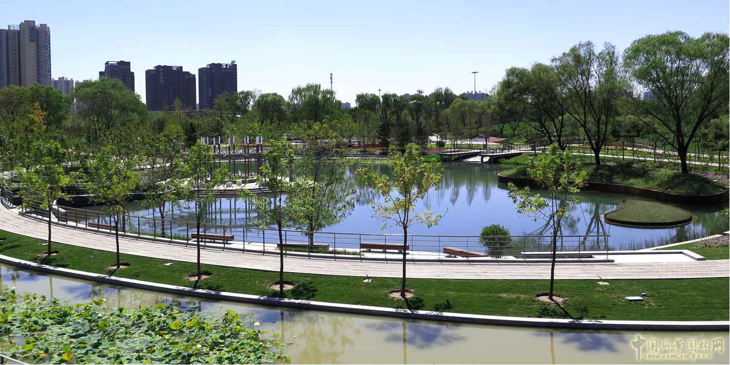 北京園林院張新宇董事長論海綿城市與風景園林