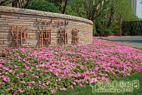 走進“龍湖·滟瀾新宸”系列深度報道