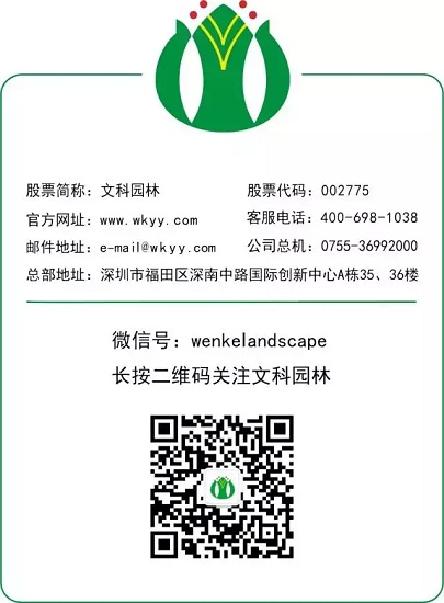 文科園林榮登深圳企業全球化成熟度100強榜單