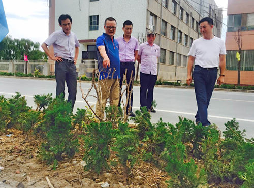 建咨園林公司開展工程質(zhì)量安全生產(chǎn)大檢查