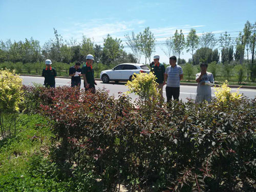 建咨園林公司開展工程質量安全生產大檢查