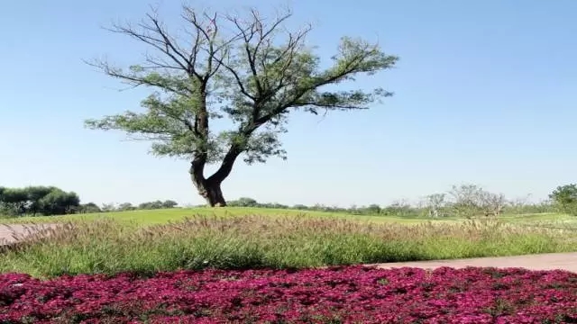 何巧女：艱難的升級 只為那200條河流清澈而美麗