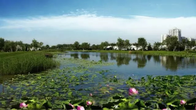 何巧女：艱難的升級 只為那200條河流清澈而美麗