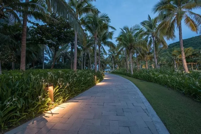 海南太陽(yáng)灣柏悅：抑制不住“洪荒之力”愛(ài)上這里的椰林沙灘