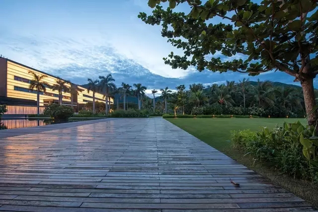 海南太陽灣柏悅：抑制不住“洪荒之力”愛上這里的椰林沙灘