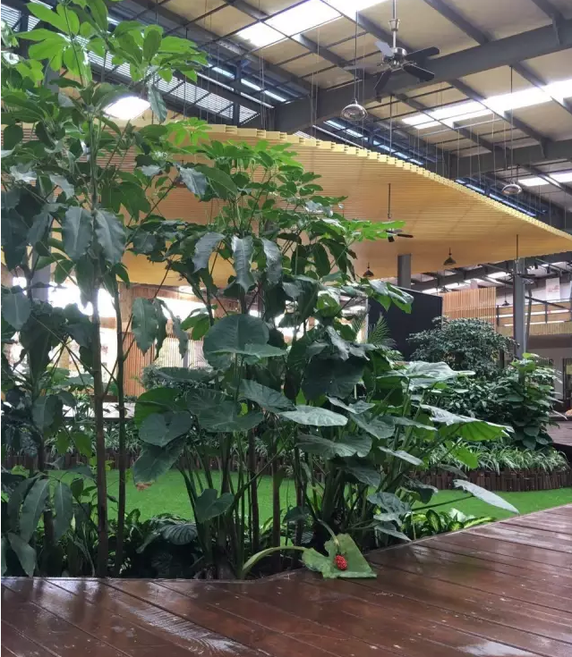 中創環亞:福漢木業集團倉庫改造