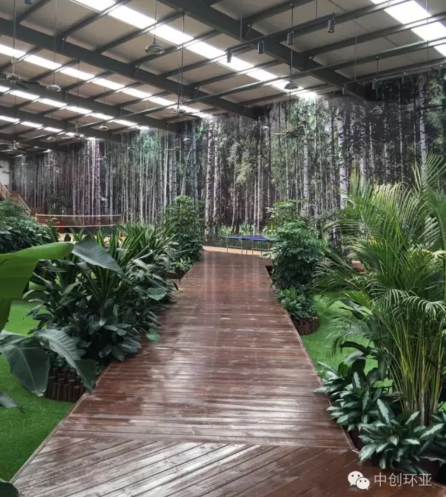 中創環亞:福漢木業集團倉庫改造