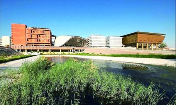 綠色投資淪為“鬼城”的反思