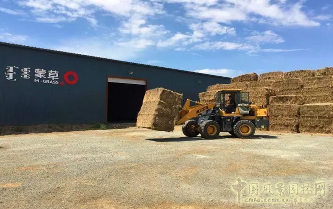 第四屆中國(guó)草業(yè)大會(huì)在青海西寧召開 蒙草榮獲三項(xiàng)大獎(jiǎng)