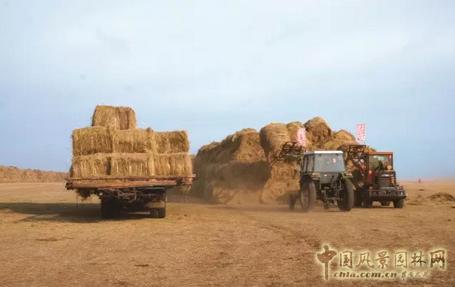 第四屆中國草業(yè)大會在青海西寧召開 蒙草榮獲三項大獎