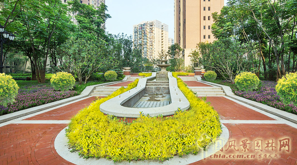 無錫明申農業特色品種黃金枸骨，圓彩化中國的夢