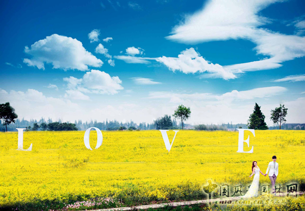 無錫明申農業特色品種黃金枸骨，圓彩化中國的夢