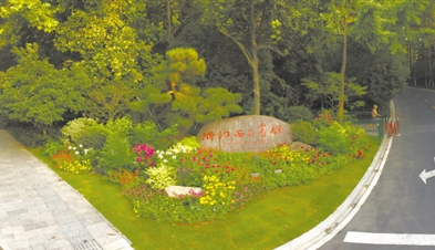 溫企承接G20綠化項目 原野園林裝扮杭城南山路