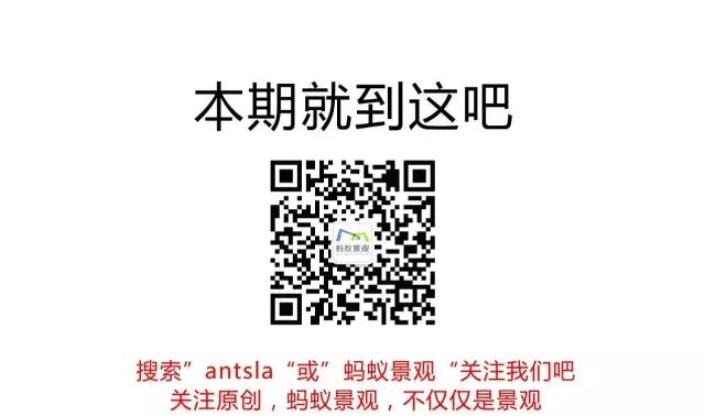 國(guó)外名氣最大的園林—網(wǎng)師園