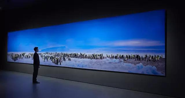 金螳螂:羅紅攝影藝術(shù)館室內(nèi)裝飾工程