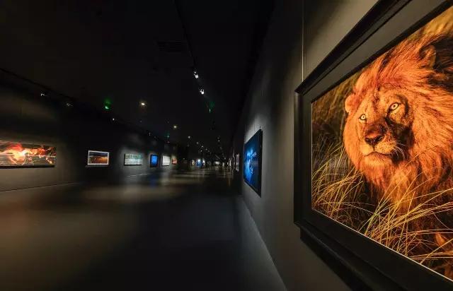 金螳螂:羅紅攝影藝術館室內裝飾工程