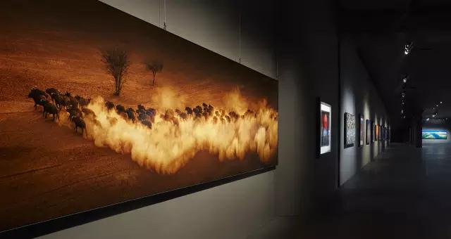 金螳螂:羅紅攝影藝術館室內裝飾工程